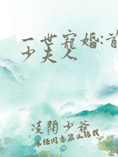 一世宠婚:首席少夫人