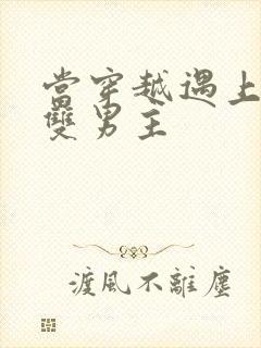 当穿越遇上重生双男主