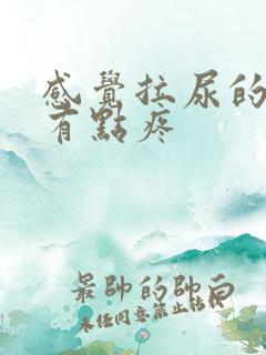 感觉拉尿的地方有点疼