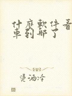 什么软件看公交车到哪了