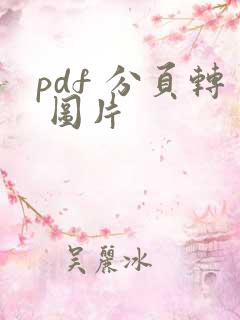 pdf 分页转 图片