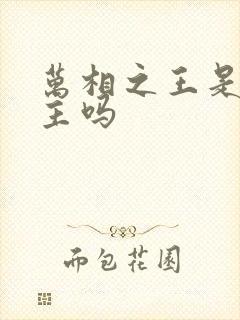 万相之王是双女主吗