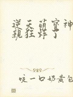 逆天萌宝神医娘亲狂炸了