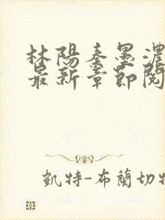 林阳秦墨浓免费最新章节阅读