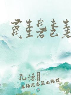 君生我未生, 我生君已老