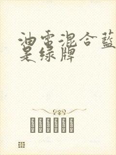 油电混合蓝牌还是绿牌