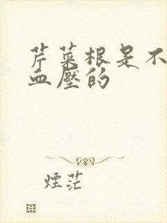 芹菜根是不是降血压的