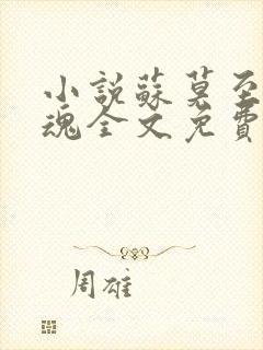 小说苏莫至尊武魂全文免费阅读