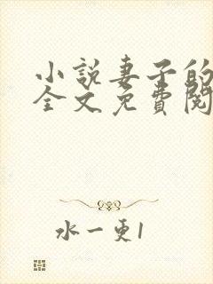 小说妻子的秘密全文免费阅读全文