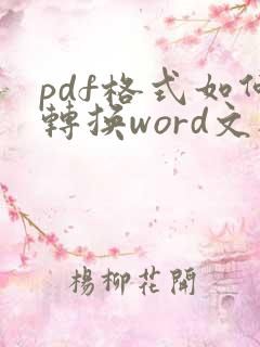 pdf格式如何转换word文档