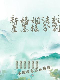 新婚姻法离婚财产怎样分割