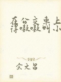 在公交车上被玩得嗷嗷叫小说