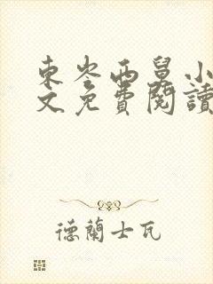 东岑西舅小说全文免费阅读