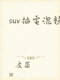 suv插电混动