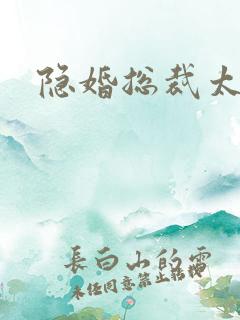 隐婚总裁太狼性