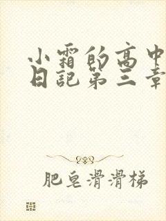 小霜的高中成长日记第三章