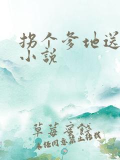拐个爹地送妈咪小说