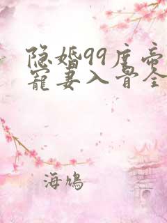 隐婚99度帝少宠妻入骨全文免费阅读