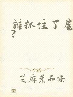 谁抓住了扈三娘?
