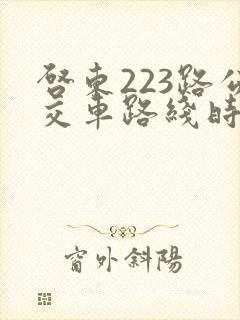 启东223路公交车路线时间表