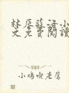 林辰苏洛小说全文免费阅读