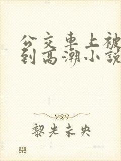 公交车上被人摸到高潮小说