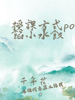 授课方式po肉馅小水饺