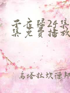 子夜归24集全集免费播放