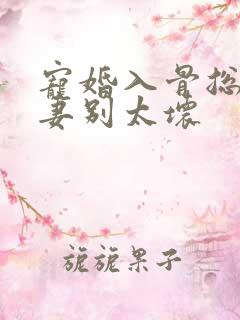 宠婚入骨总裁撩妻别太坏