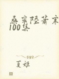 桑宁陆萧寒短剧100集