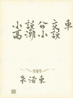 小说公交车被上高潮小说