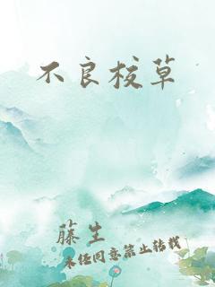 不良校草