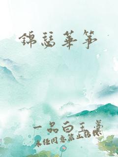锦瑟华筝