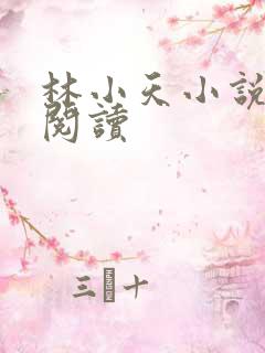 林小天小说免费阅读