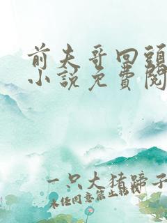 前夫哥回头是三小说免费阅读