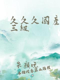 久久久国产精品三级