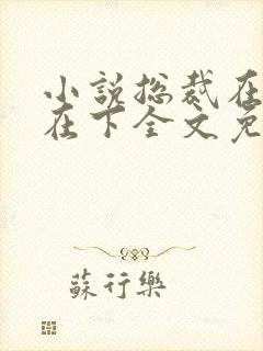 小说总裁在上我在下全文免费阅读