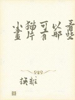 小猫可以看的动画片有哪些