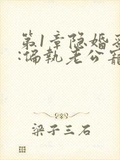 第1章隐婚蜜爱:偏执老公宠上瘾