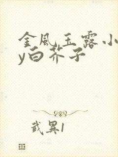 金风玉露小说by白芥子
