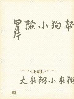 冒险小狗帮动画片