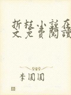 折枝小说在线全文免费阅读无弹窗