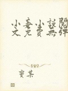 小妾小说阅读全文免费无弹窗