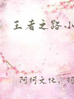 王者之路小说
