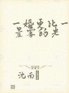 一婚更比一婚高 晨雾的光