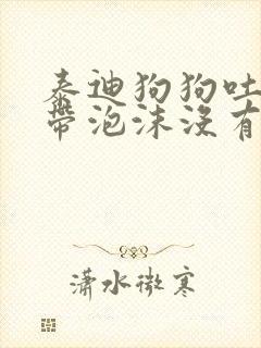 泰迪狗狗吐黄水带泡沫没有拉肚子精神走路