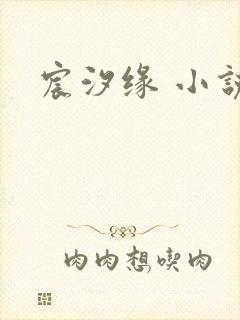 宸汐缘 小说