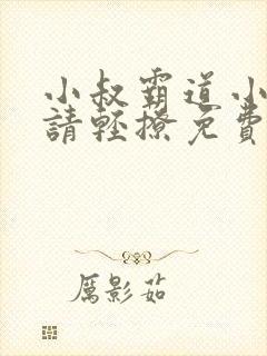 小叔霸道小叔 请轻撩免费漫画