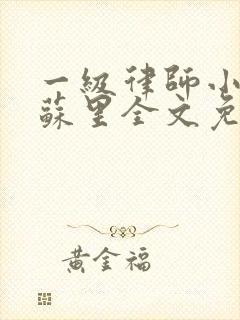 一级律师小说木苏里全文免费阅读