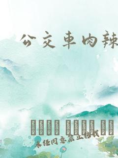公交车肉辣文